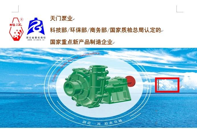 湖北省天门泵业有限公司