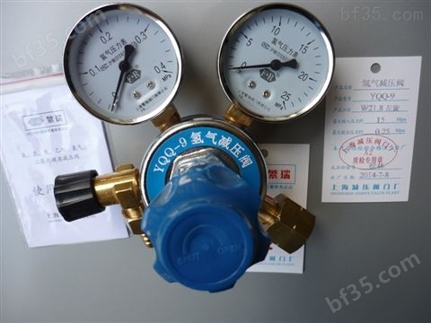 上海繁瑞氢气减压器YQQ-9氢气减压表YQQ9氢气减压阀YQQ*