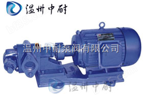 KCB/2CY系列带安全阀齿轮泵