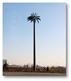 椰树型仿生树景观塔
