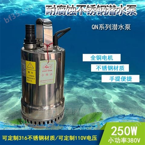 直立浸入式不锈钢潜水泵120W