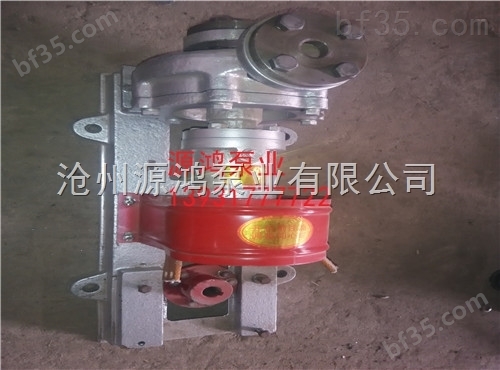 源鸿泵业RY80-50-200B离心导热油泵