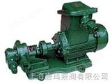 KCB不锈钢齿轮油泵/齿油泵/防爆齿轮油泵