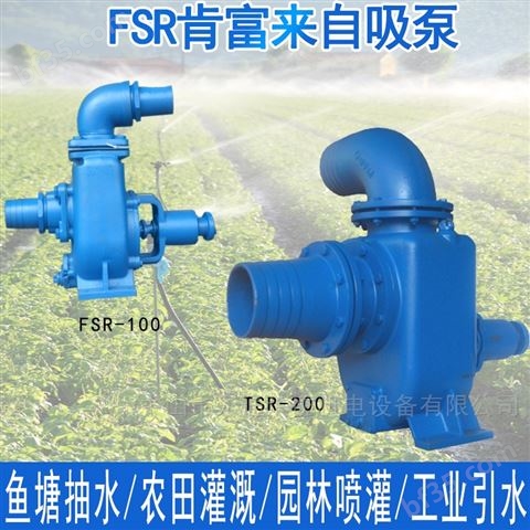 FSB氟塑料合金耐腐蚀泵 轴连式三相化工泵