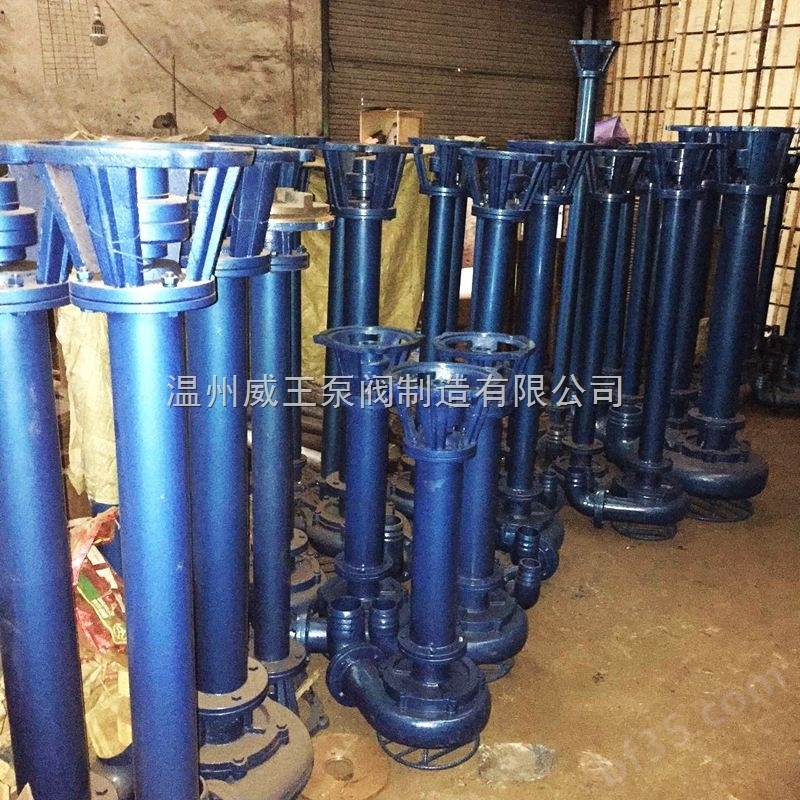 NL型不锈钢污水液下泵温州威王生产厂家